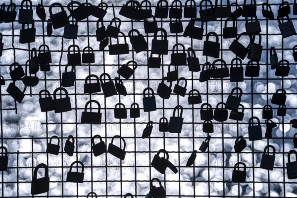 Padlocks, so-called love locks on a fence, vantage point in Wesel am Rhein, North Rhine-Westphalia,