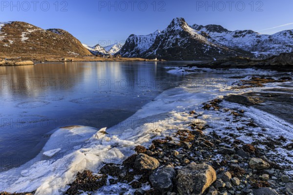 Sunrise, morning light, steep mountains and fjord, ice, winter, Flakstadoya, Lofoten, Norway,
