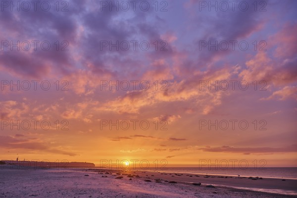 Colorful sunset on the beach with Grey seal (Halichoerus grypus) lying lying on it, Düne,