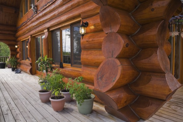 Brown reddish stained Scandinavian log cabin home facade with large chinked logs and grey wood