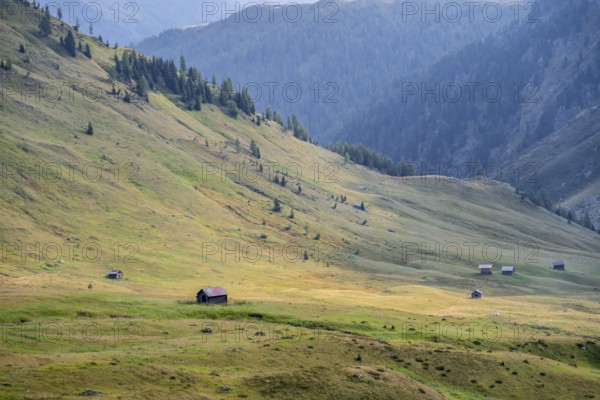 Alpine pasture landscape, Alpine meadows and huts, Carnic main ridge, Carnic High Trail, Carnic
