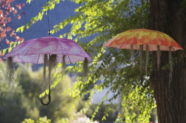Colourful umbrellas hanging in the air, shade, summer, decoration, winter promenade, promenade,