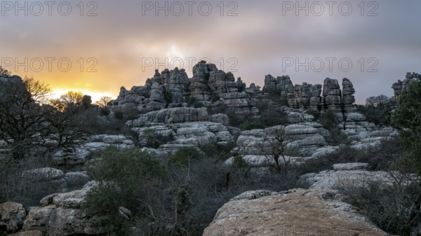 Bizarre limestone rock formations, El Torcal nature reserve, Torcal de Antequera, Malaga province,