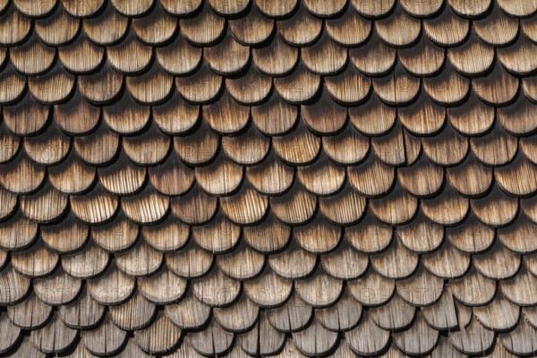 Schwarzenberg, Bregenz district, old wooden shingle, house wall, detail, Bregenzerwald, Voralberg,