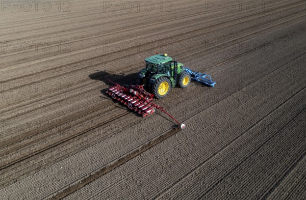 Sugar beet being sown in spring, precision sowing with precision seed drill, behind a tractor,