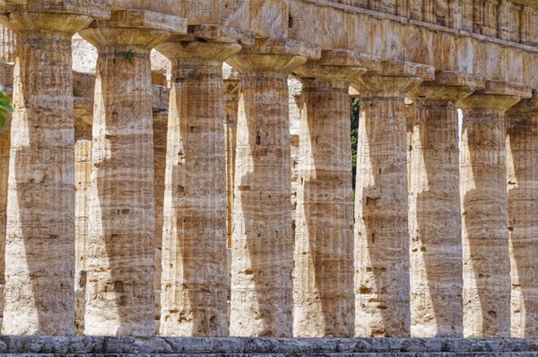 Paestum archaeological site and ruins, UNESCO World Heritage Site, in the province of Salerno.