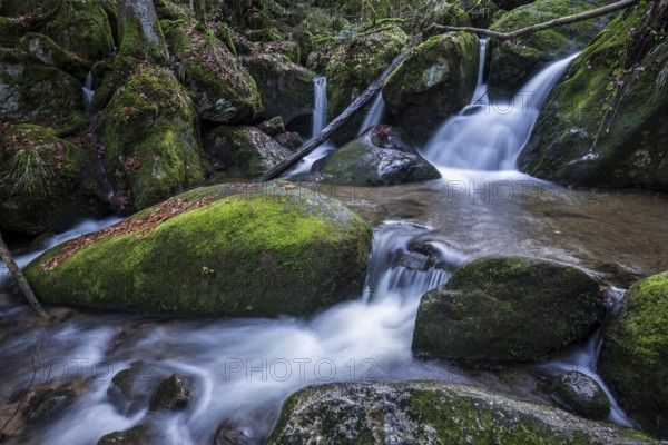 Gertelbach, Gertelbach Waterfalls, Gertelbach Falls, Gertelbach Gorge, Bühl, Bühlertal, Northern