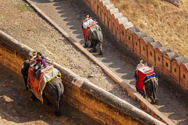 AMER, INDIA, NOVEMBER 18, 2012: Tourists riding elephants on ascend to Amer (Amber) fort,