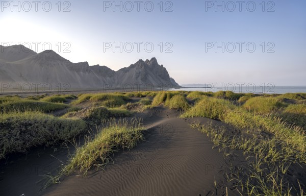 Black beach with volcanic sand, sandy beach, dunes with grass, Stokksnes headland, Klifatindur