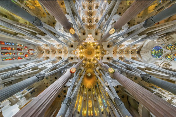 Interior of the Familia Sagrada, religion, Christianity, by the architect Antonio Gaudi in