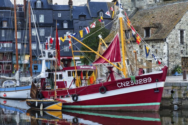 Decorated fishing boat Little China, harbour basin in the old town, Honfleur in the evening,