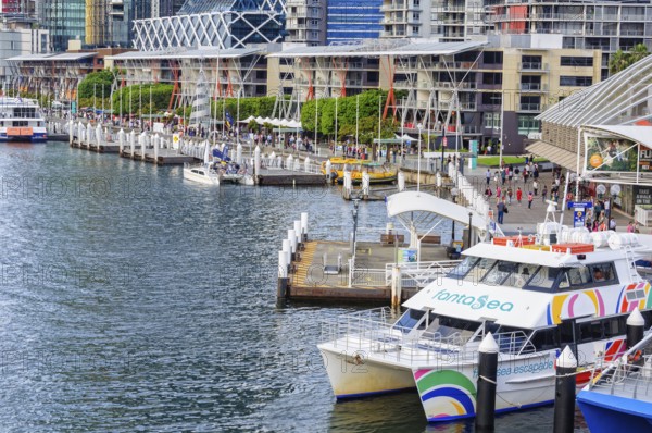 Aquarium Wharf next to the historic Pier 26 and in font of the Sea Life Sydney Aquarium in Darling