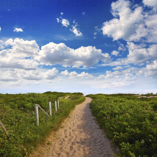 Cape Cod Herring Cove Beach in Massachusetts USA