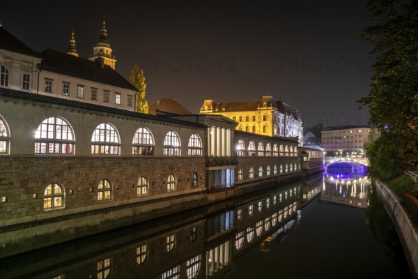 Iconic building of the central market in Ljubljana illuminated at night, the bridge of Preseren