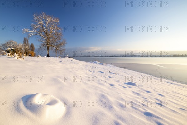Snow-covered hilly landscape with trees and a frozen body of water under a clear sky, Seegarten,