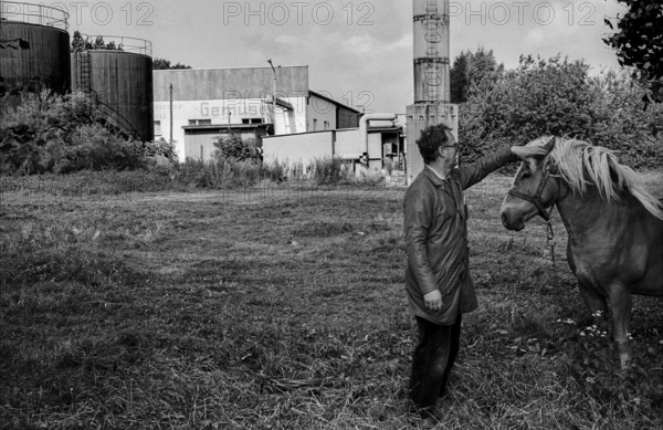 Germany, Trinwillershagen, 16.9.1991, old LPG plant, horse in the Walter_Ulbricht_Vorzeigedorf