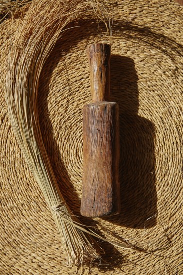 Esparto halfah grass used for crafts as cords basketry and espadrilles