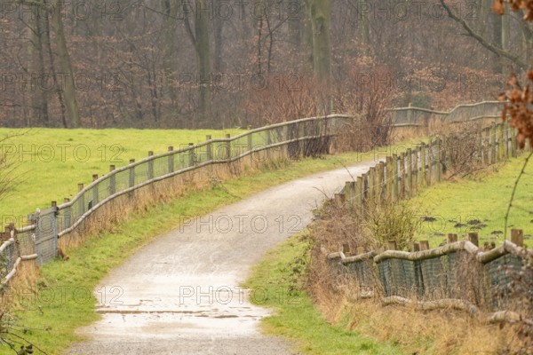 Peaceful countryside landscape featuring a winding gravel path, wooden fences, and lush green