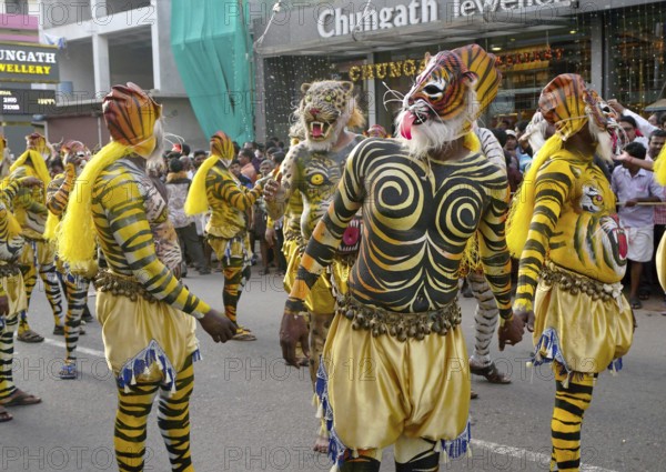 Trained dancers with their carefully painted bodies guise of tigers perform the famous Pulikali the