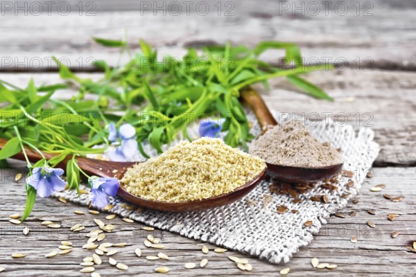 Flax bran and flour in two spoons on a burlap napkin, linen leaves and flowers on a wooden board
