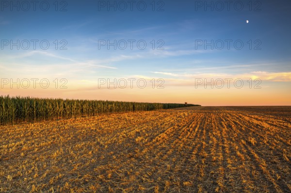 Lookout tower between corn field and empty field after harvesting. Panorama picture with mowed