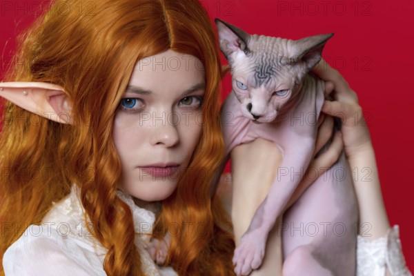 Portrait of young female cosplayer elf showing purebred Sphinx kitten with blue eyes. Ginger elf in
