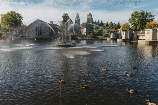 Ducks on the lake in the park. Park in the fall. Autumn trees. Wild ducks are reflected in the lake