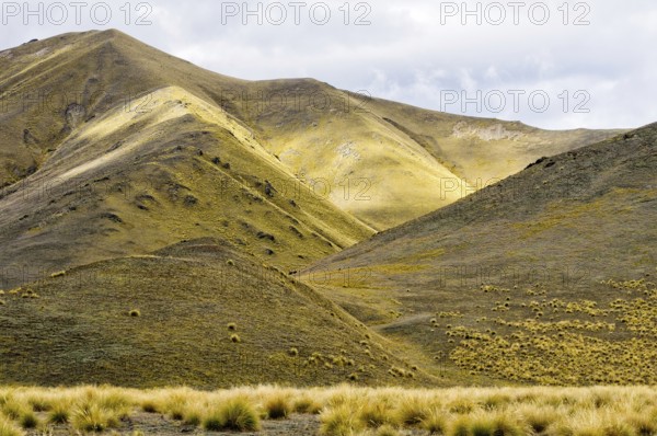 Tussocks and yellow rolling hills near Lindis Pass in Central Otago on the South Island of New