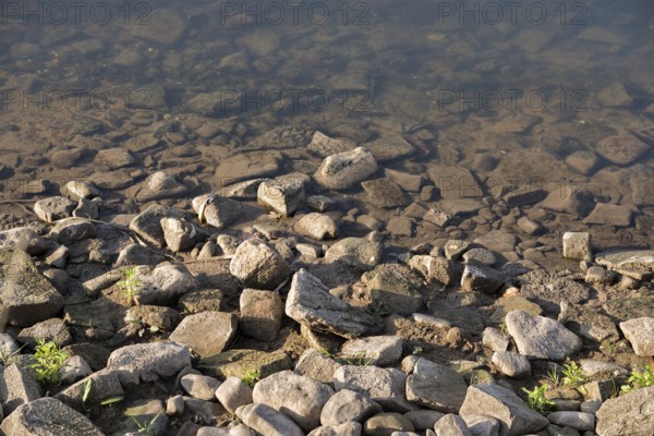 Shoreline of Weser River near Oberweser, Upper Weser Valley, Weser Uplands, Weserbergland, Hesse,