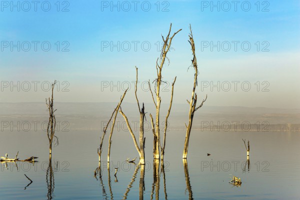 Journey to the exotic country of Kenya. Lake Nakuru National Park in East Africa. Sunset. Gentle