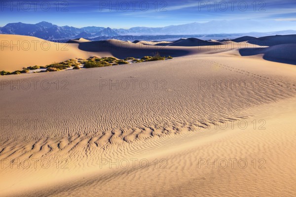 Thin waves on the sand in Mesquite Flat Sand Dunes. Bright sunny morning in a picturesque part of