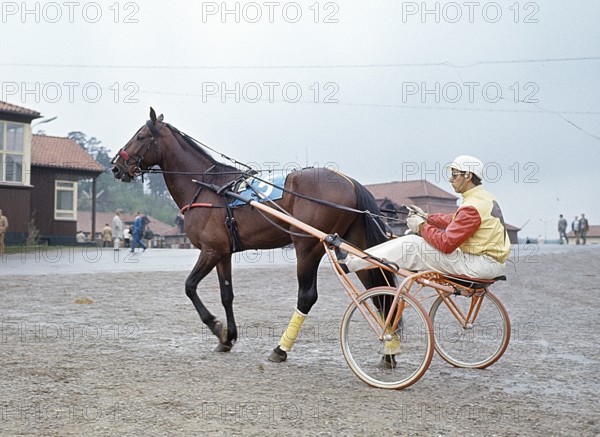 Olle Elfstrand. Swedish trotting trainer and jockey. During his career he has managed the feat of