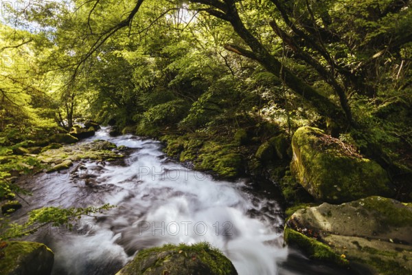 The magnificent Tateshina Otaki Falls on the famous Venus Line road, famous as a scenic driving