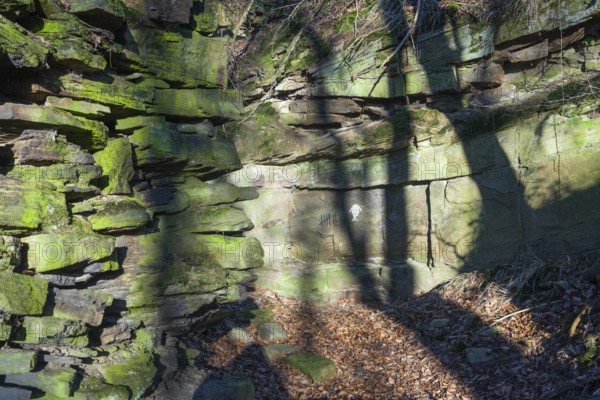 Graffitti at a rock shelter, atmospheric rock arts, looks like signs of Cannibalism, Wülmersen,