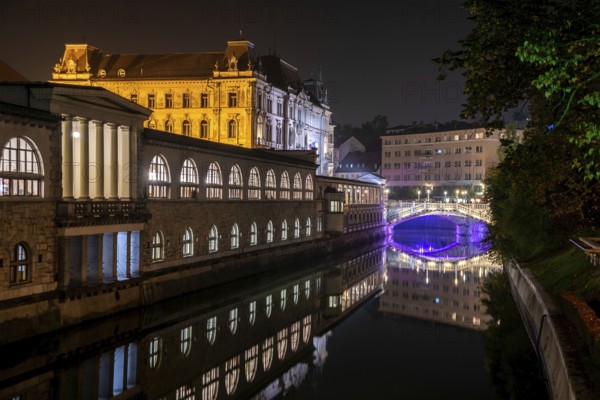 Iconic building of the central market in Ljubljana illuminated at night, the bridge of Preseren