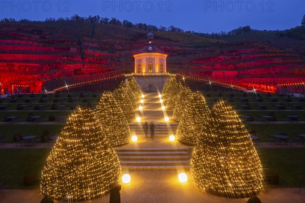 Adventure winery to shine in special splendour from next week Radebeul, 1 November 2024 From 8