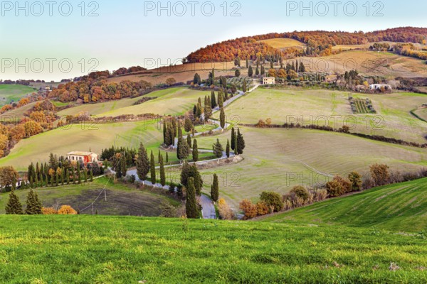 Italy. Sunset. Slender cypress trees adorn and frame the roads. Wonderful warm sunny day in late
