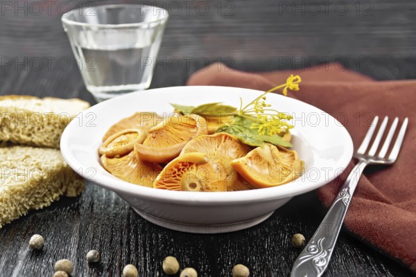Salted mushrooms saffron with sour cream, currant leaf and sprig of dill in plate, fork, towel,