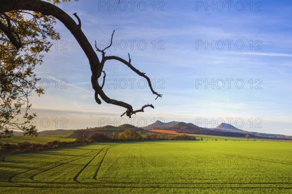 The morning in Central Bohemian Highlands, Czech Republic. Central Bohemian Uplands is a mountain