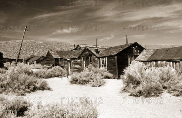 A dusty path between thorny undergrowth leads to poor wooden houses and crooked lamp posts in the