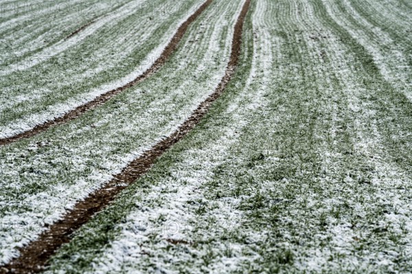 Agricultural fields in winter, Oberweser, Upper Weser Valley, Weser Uplands, Weserbergland, Hesse,