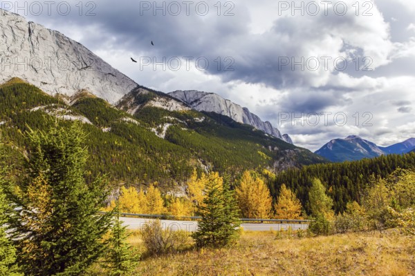 Rain clouds cover the sky. Orange and yellow leaves of aspens and birches adorn the mountains. Road