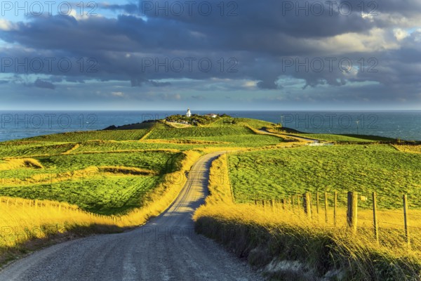 Southern Scenic Route. South Island of New Zealand. Incredible orange sunset over green fields.