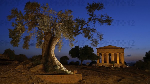 Italy, Sicily, Agrigento, Temple of Concordia by night, Temple of Concordia, Greek antiquity,