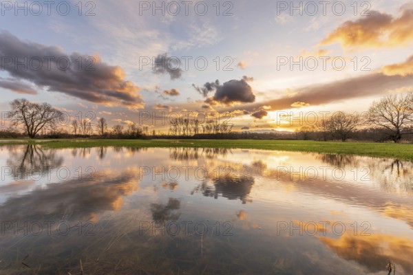 Sky of pink and orange clouds reflecting in a flooded meadow in the evening. Alsace, France, Europe