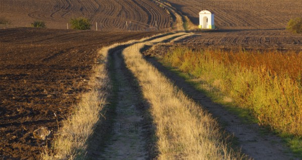 Small chapel in the autumn field. Autumn landscape with agricultural land, recently plowed and
