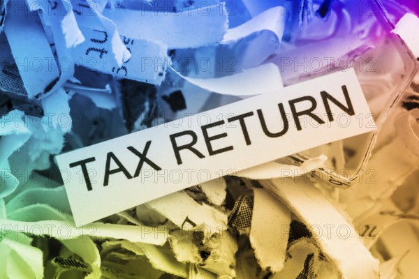 Paper shreds with the keyword Tax Return, symbolic photo for data destruction, data protection and