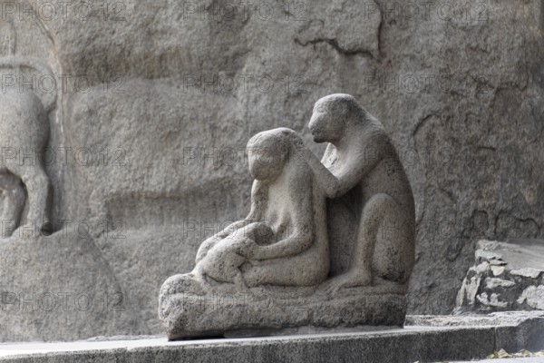 Stone sculpture of monkeys in an everyday scene, finely detailed, Mahabalipuram, Tamil Nadu, South