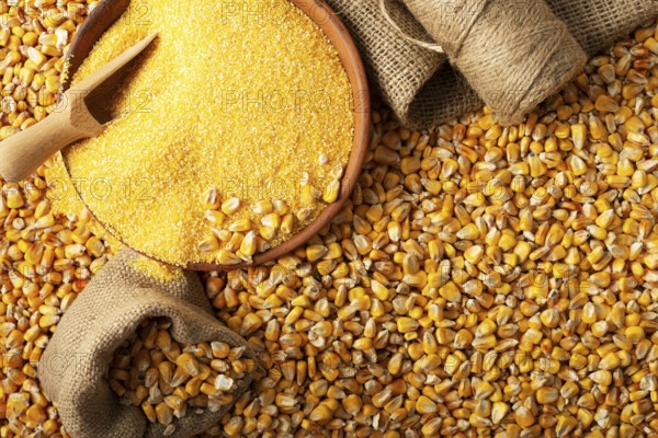 Yellow corn kernels with clay bowl in burlap sack flat lay