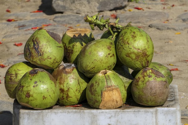 Close-up of fresh green coconuts stacked ready to sell on a market in historic town Paraty, Brazil,